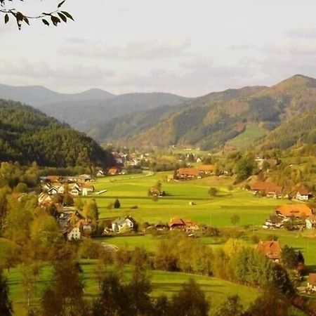 Oberbauernhof - Wohnung "Am Garten" -- Moderne Fewo Im Schoenen Schwarzwaldhaus جوتاخ المظهر الخارجي الصورة