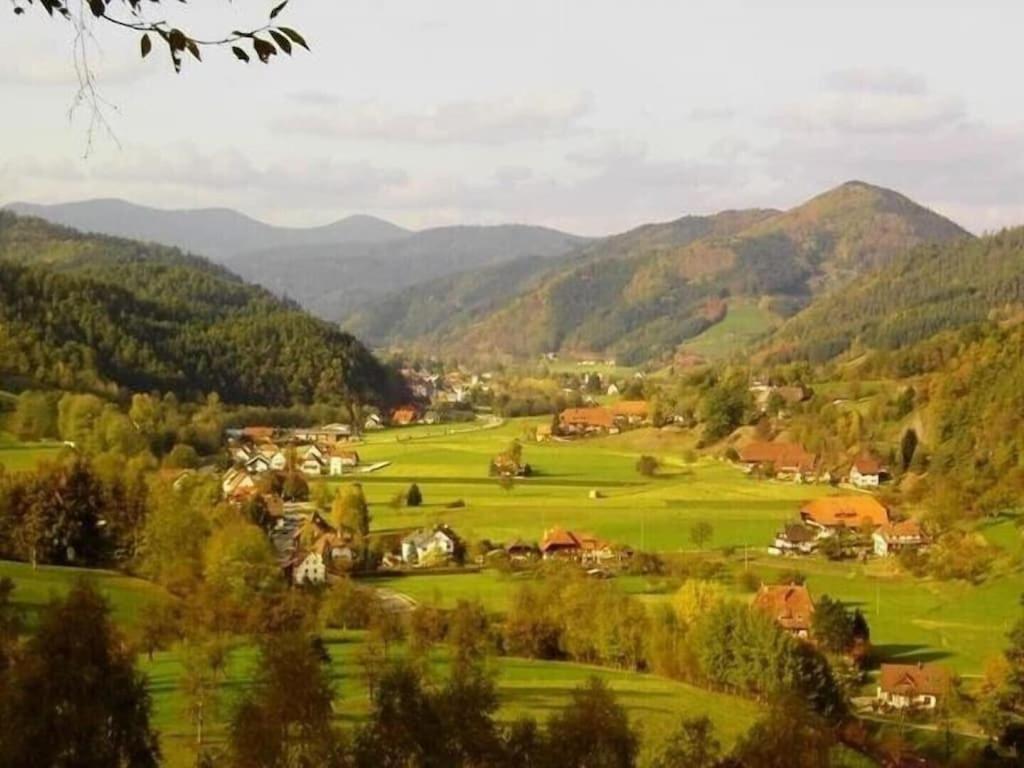 Oberbauernhof - Wohnung "Am Garten" -- Moderne Fewo Im Schoenen Schwarzwaldhaus جوتاخ المظهر الخارجي الصورة