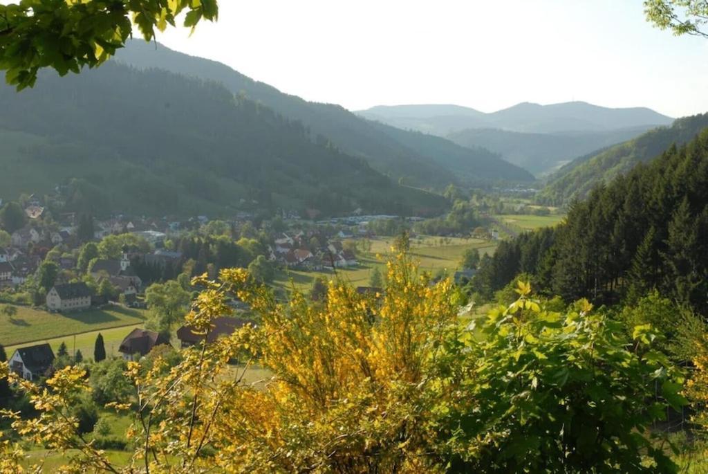 Oberbauernhof - Wohnung "Am Garten" -- Moderne Fewo Im Schoenen Schwarzwaldhaus جوتاخ المظهر الخارجي الصورة