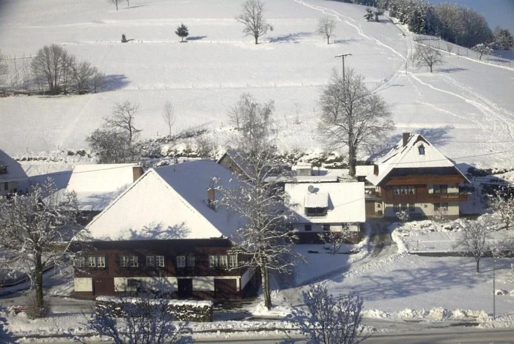 Oberbauernhof - Wohnung "Am Garten" -- Moderne Fewo Im Schoenen Schwarzwaldhaus جوتاخ المظهر الخارجي الصورة